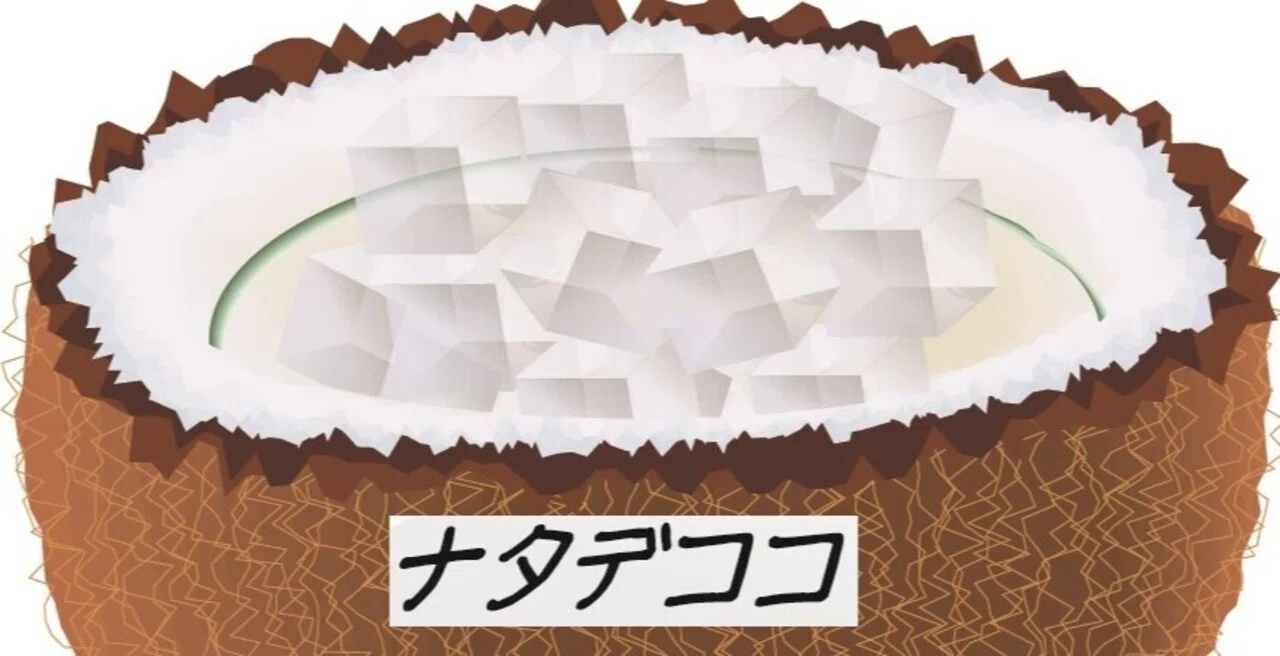 44 ナタデココの作り方びっくり|ポン