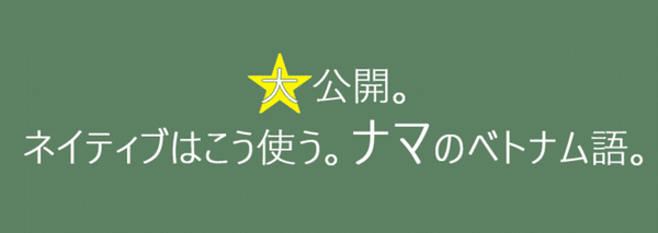 Ly Mỹ ベトナム語オタク Otaku Tiếng Việt Note