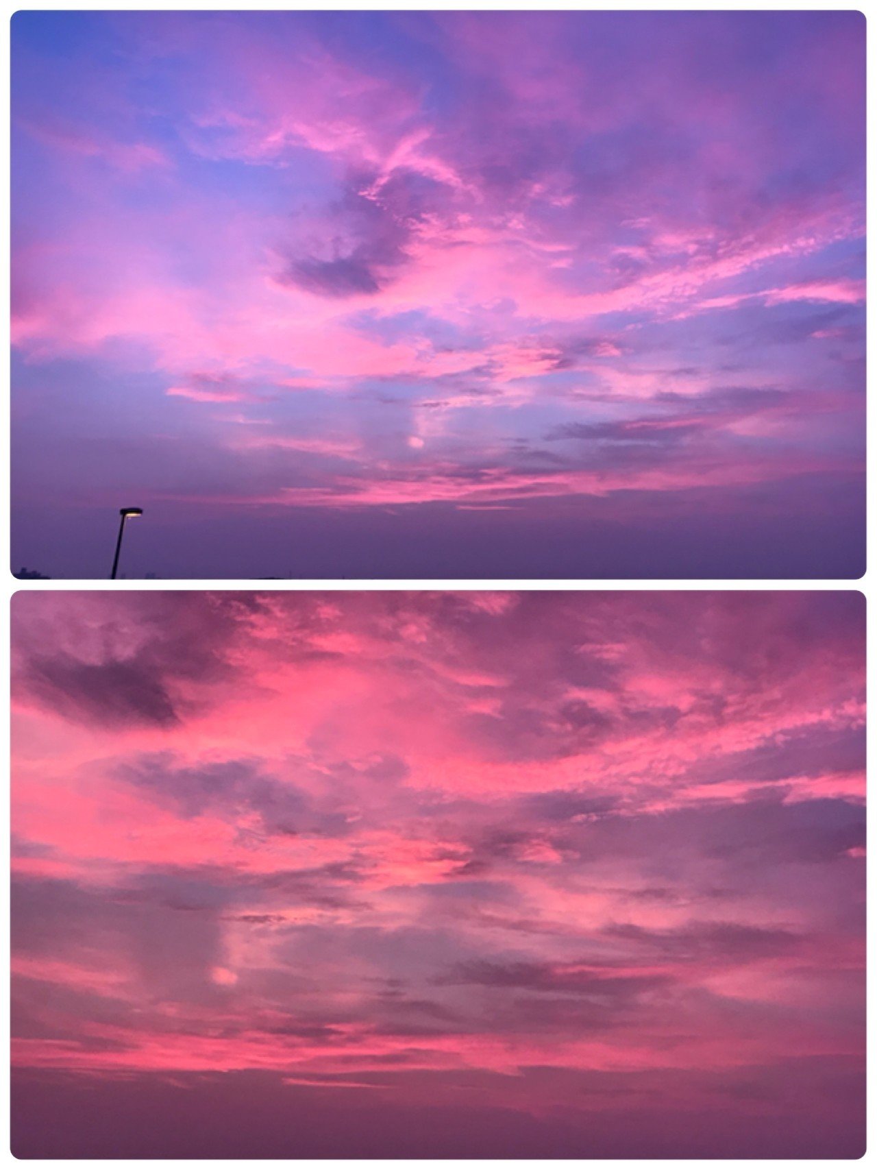 連日 夕方になるとピンク色の空が出現 温暖化の影響だということらしいのですが それにしても 幻想的な美しさです Kazumi Ishibashi Note