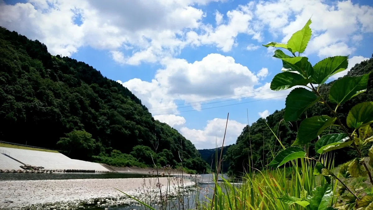 画像