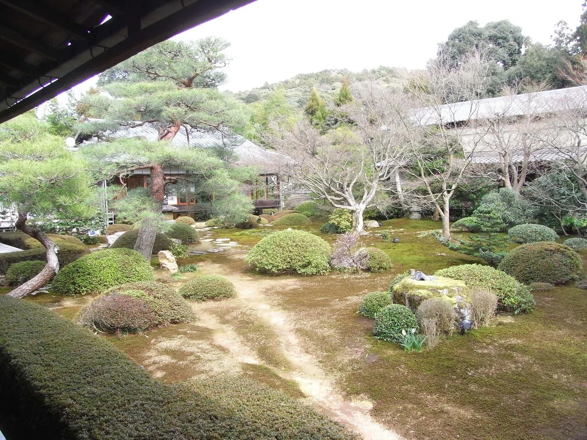 画像12