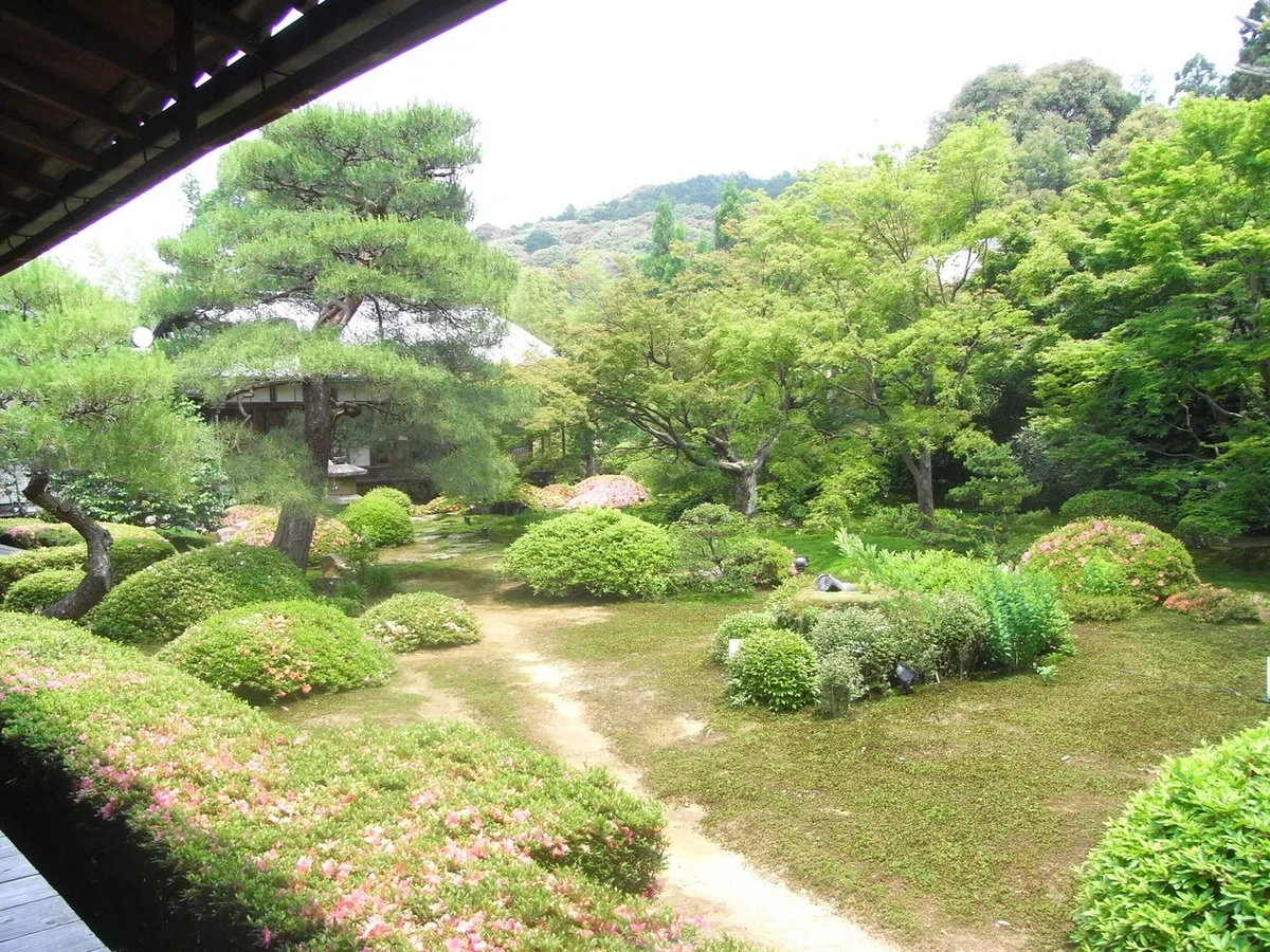 画像30
