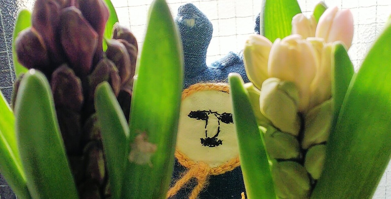 アスパラガス ナナス の新着タグ記事一覧 Note つくる つながる とどける アスパラガス ナナス の新着タグ記事一覧 Note つくる つながる とどける