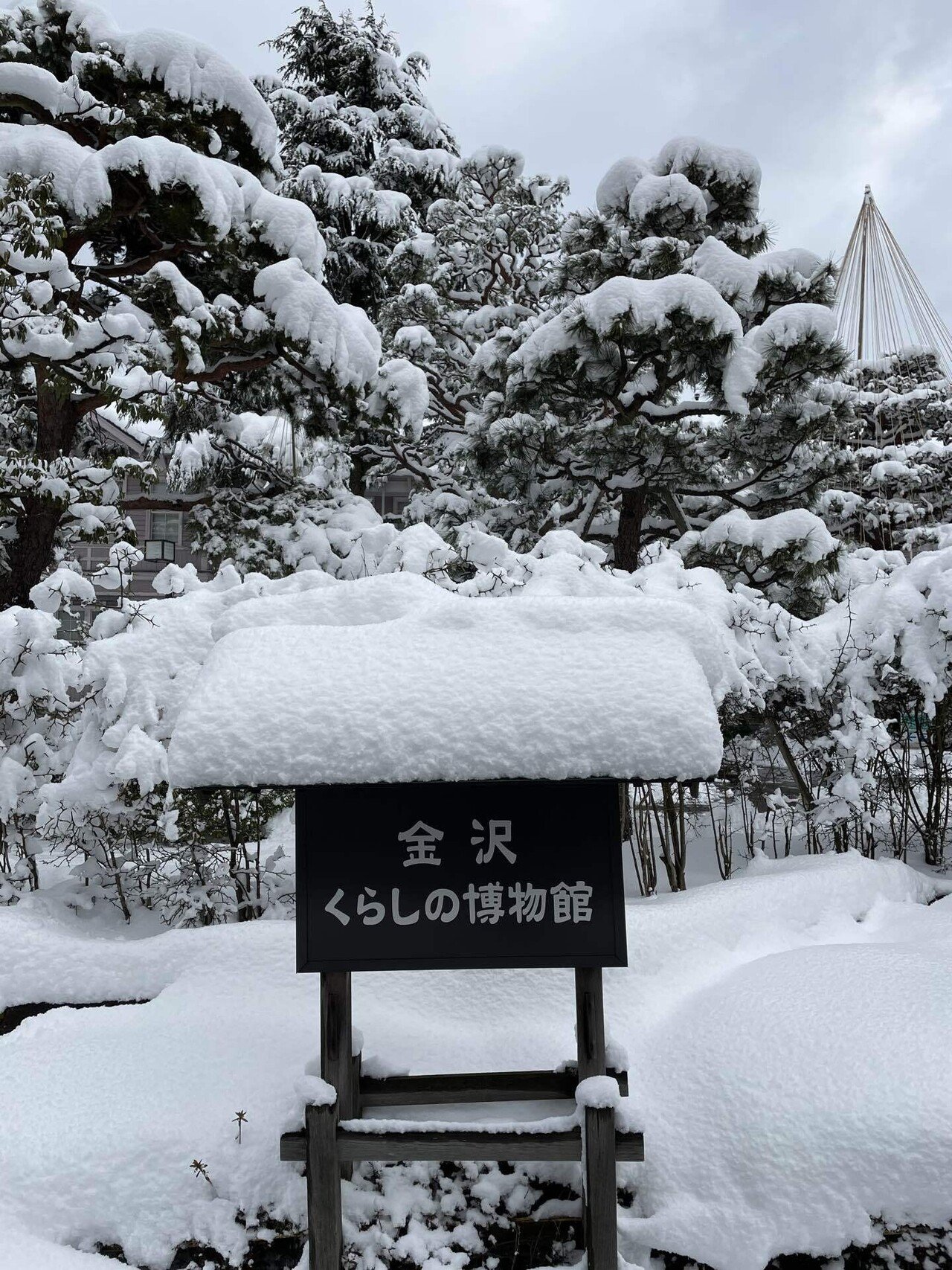 【中古】 くらしの中の生物学/培風館/藤沢敬一 くらしの中の生物学／藤沢敬一 : ネットオフ ヤフー店 - 通販