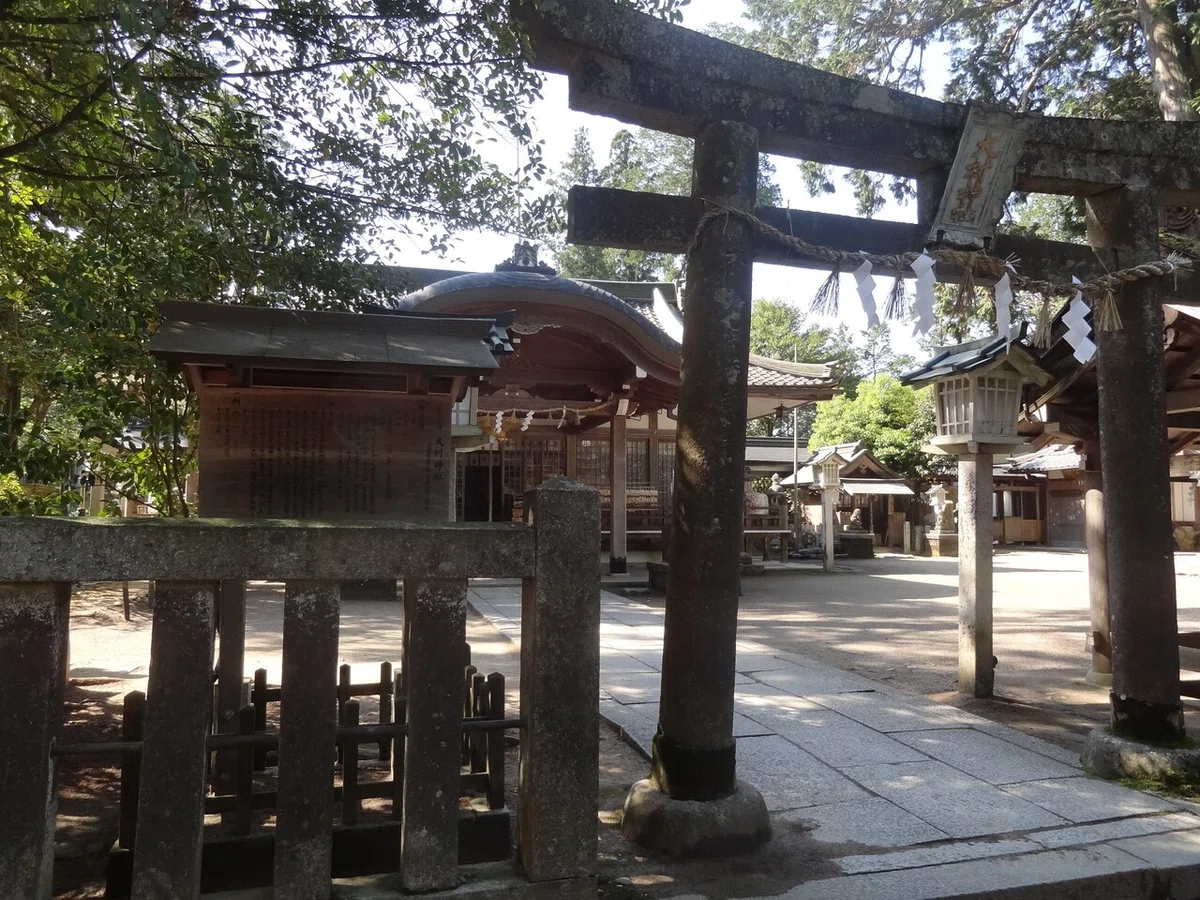 画像8