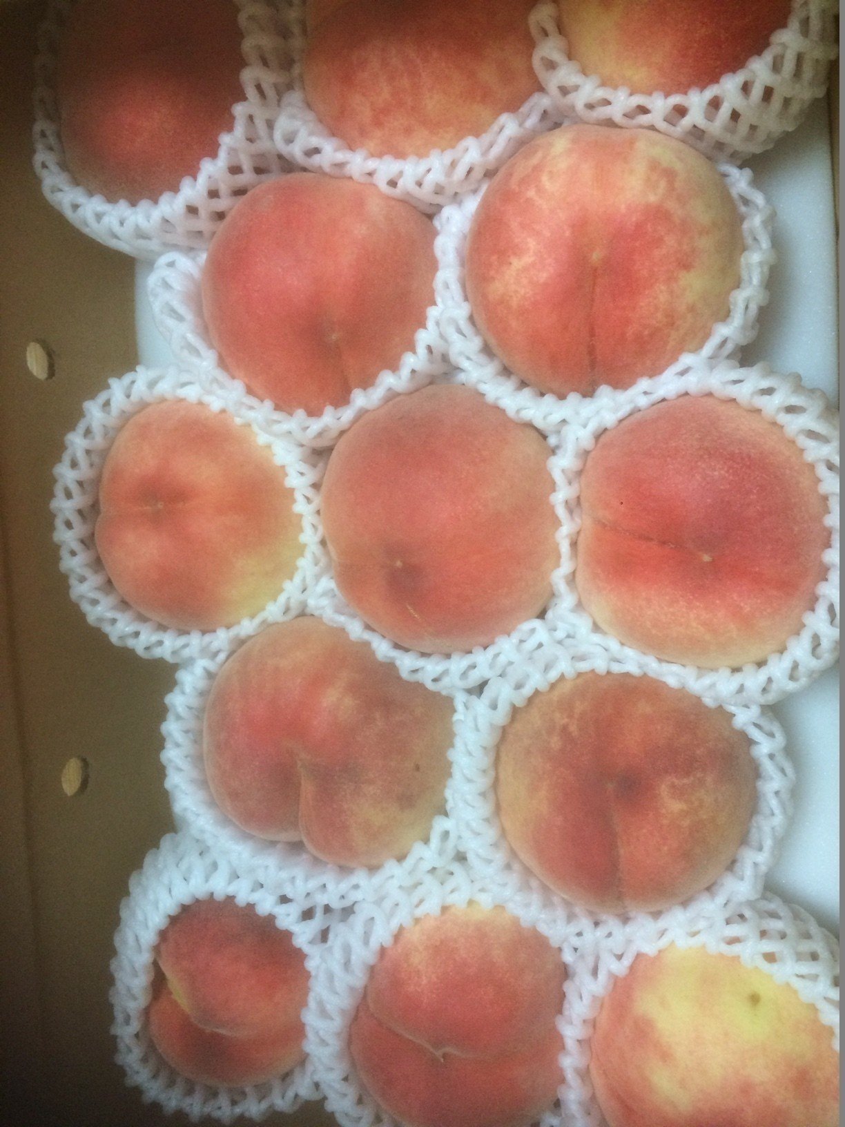 桃 かわいいですよね 新田天 Note 桃 かわいいですよね 新田天 Note