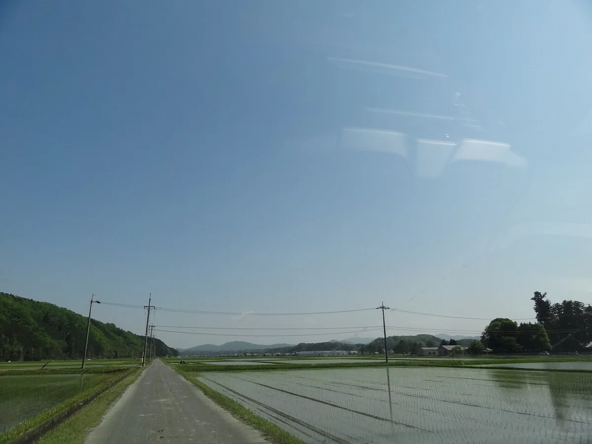 画像7