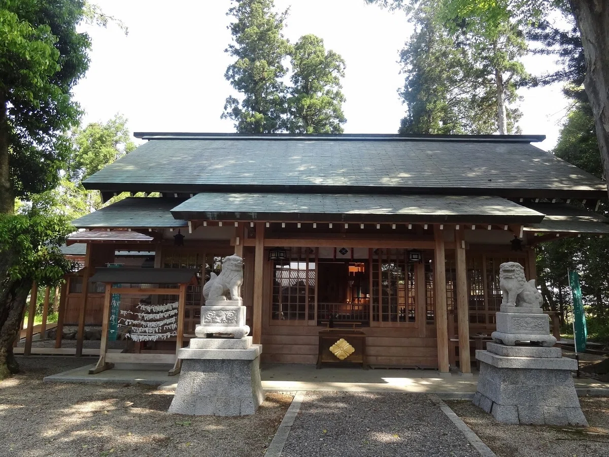 画像12