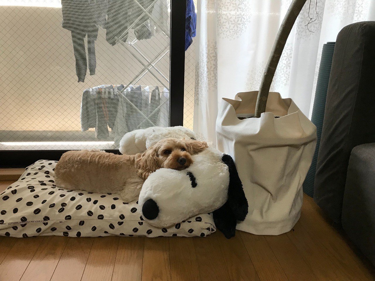 教育改革 麹町中学校が熱い しましま Note