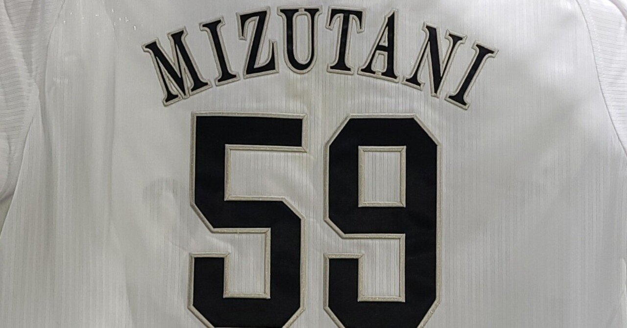 水谷瞬 実使用バッティング手袋 ZETT 水谷瞬 実使用 手袋 日本ハム