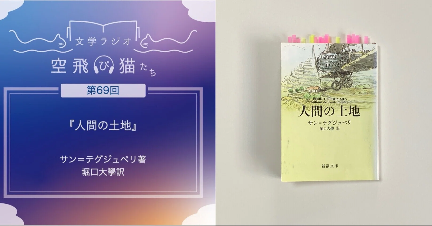 人間の土地」サン＝テグジュペリ著｜文学ラジオ空飛び猫たち