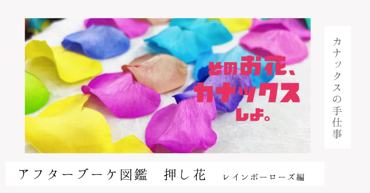 アフターブーケ図鑑_レインボーローズ_プレスフラワー｜【公式
