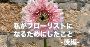 フラワーアレンジメントの完全ガイド: オーストラリアのフロー