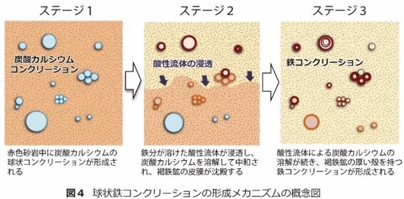 鉄コンクリ－ションメカニズム