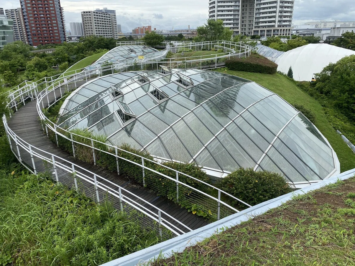 画像7