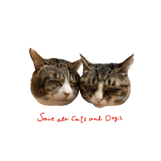 チャリティーをもっと楽しく身近に 寄付スタンプ オリジナルグッズ発売のお知らせ 犬猫生活株式会社 旧オネストフード Note