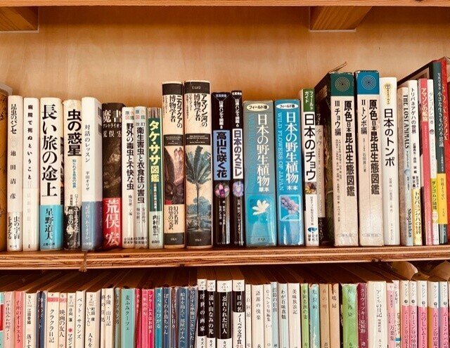 わたしたちの本棚｜ゆき