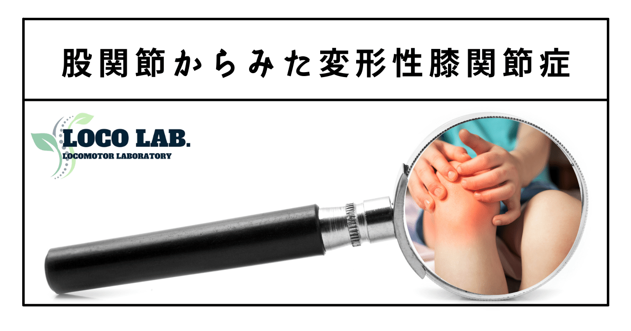 股関節からみた変形性膝関節症｜武田 純一