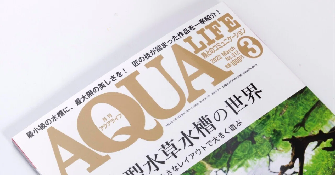 アクア雑誌でアガベ！？「月刊アクアライフ 3月号」新連載『LIFE with