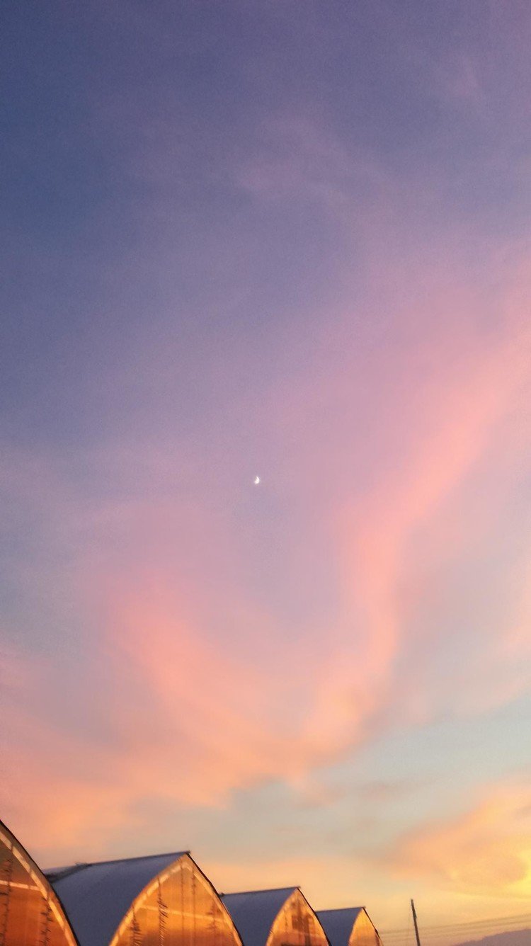 夕暮れの美濃平野　オーロラのような雲と月