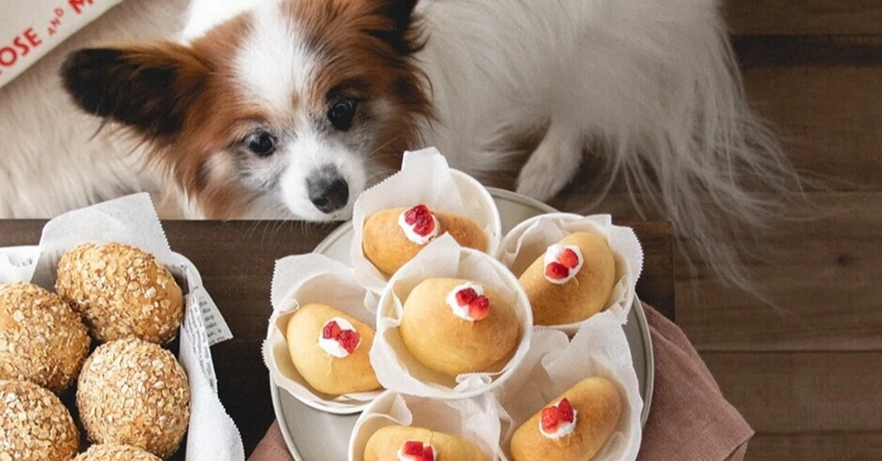 発酵不要♡エンゼルクリーム風焼きドーナツ（手作り犬おやつレシピ