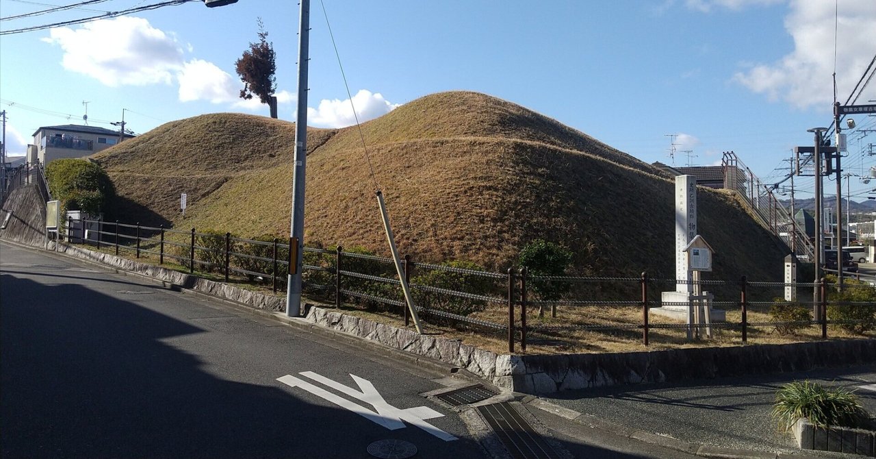 海岸通りの河津桜 – 尾道 桂馬蒲鉾商店