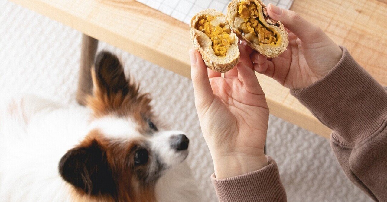 揚げない スパイス不要 わんこのカレーパン風焼きドーナッツ 手作り犬おやつレシピ 単品購入 いちかわあやこ 犬ごはん先生 Note