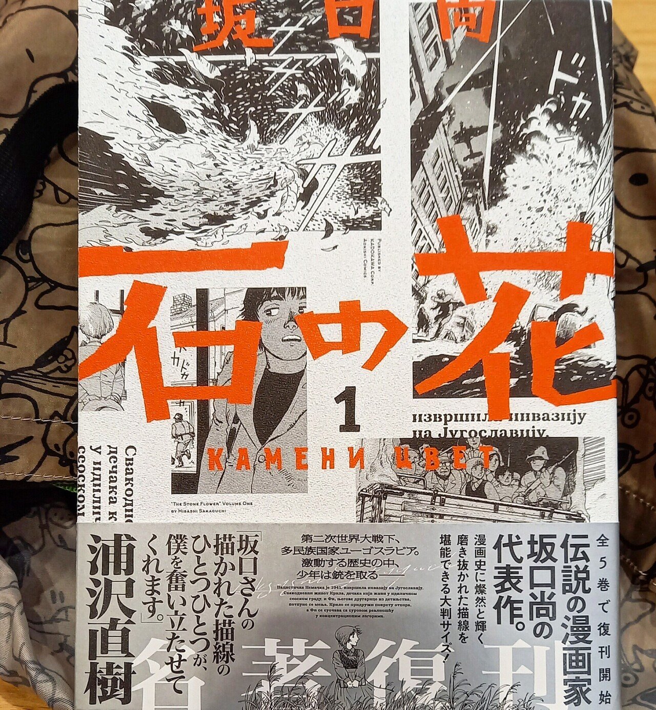 坂口尚「石の花」|消雲堂 坂口尚「石の花」|消雲堂