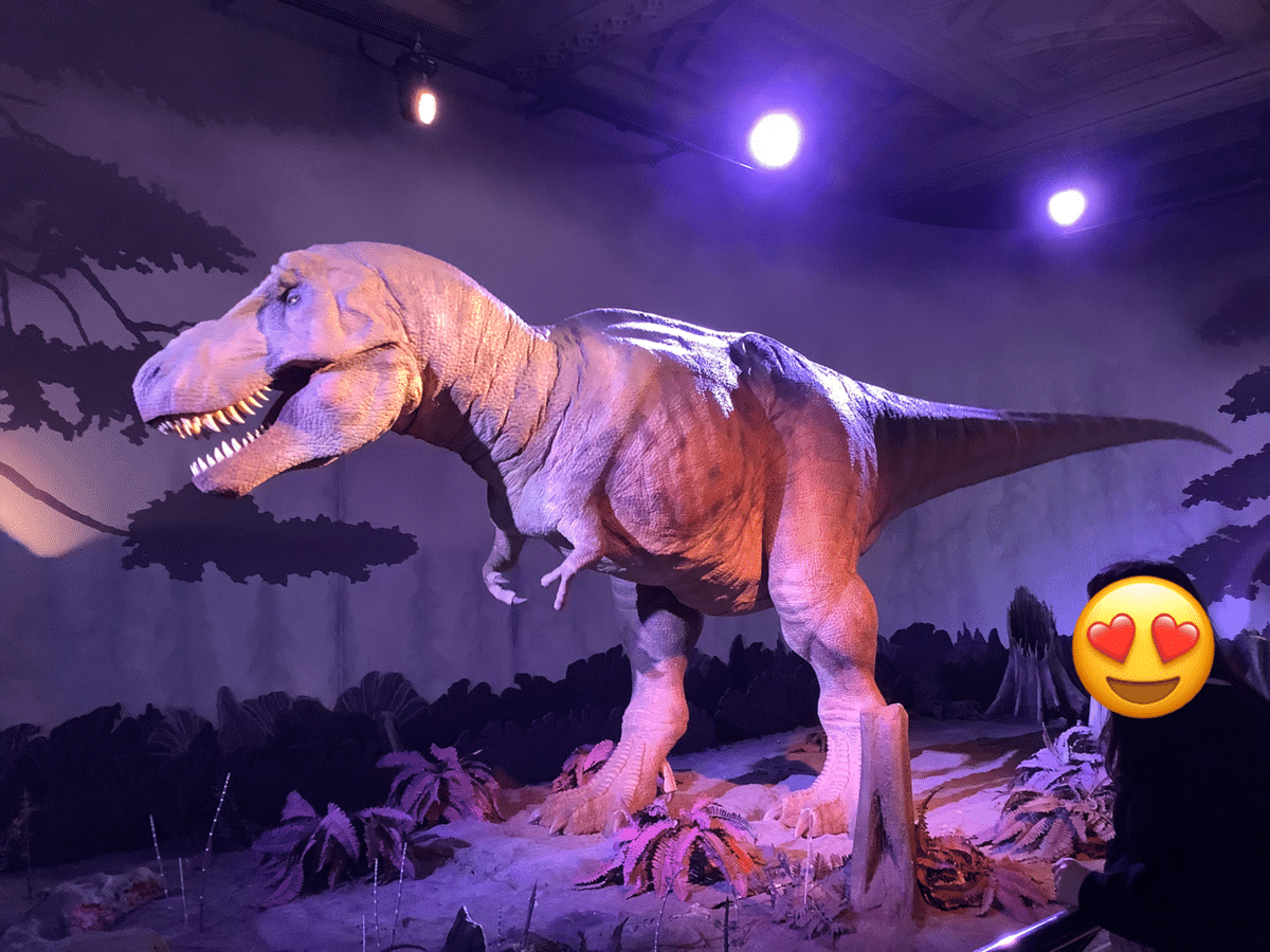 Natural History Museum｜marulondon
