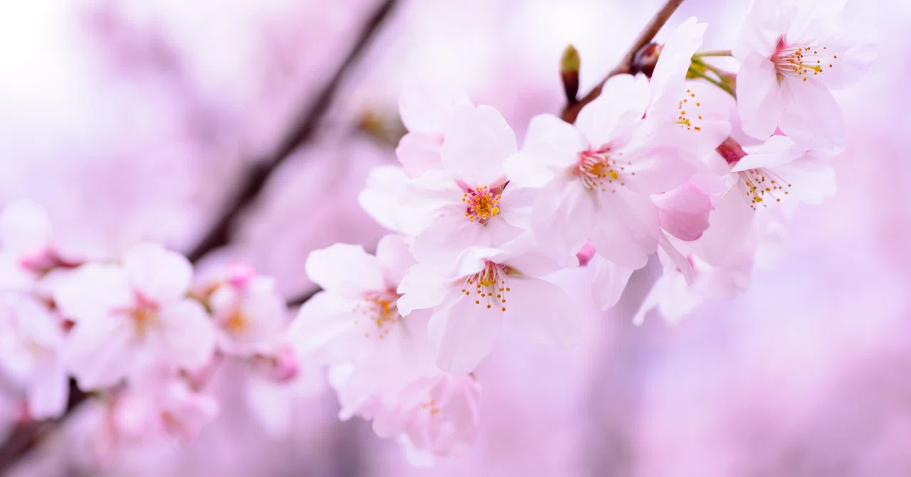 This spring, I am creating a community for new graduates who are taking ...