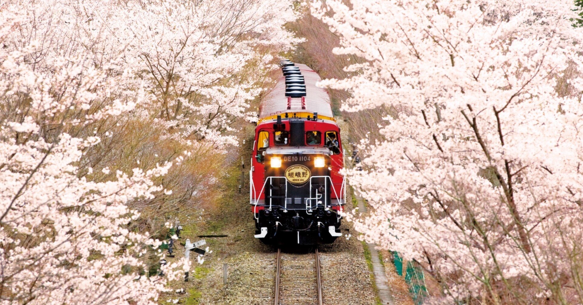 お気にいる 嵯峨野観光鉄道 トロッコ列車 使用済み切符