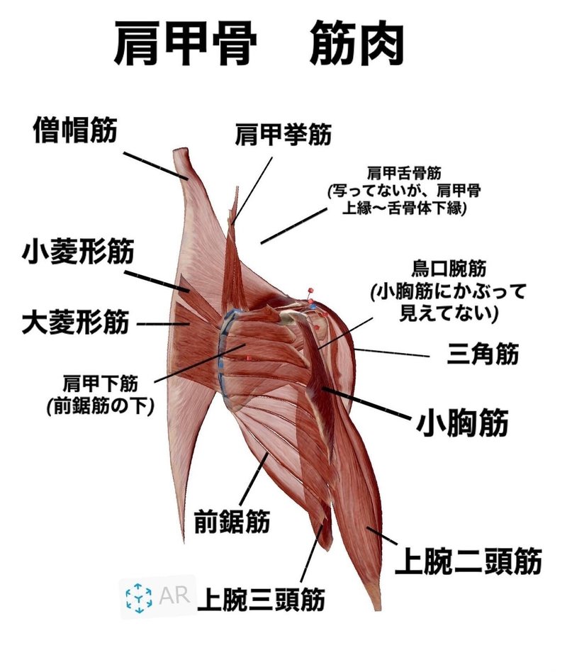 画像7