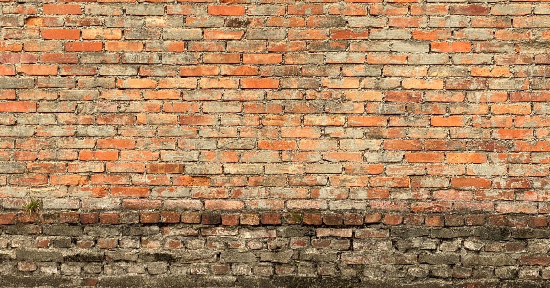 けそのことば 岡井隆 新潮社 けそのことば 岡井隆 新潮社 けそのことば 岡井隆 新潮社 Amazon.co.jp