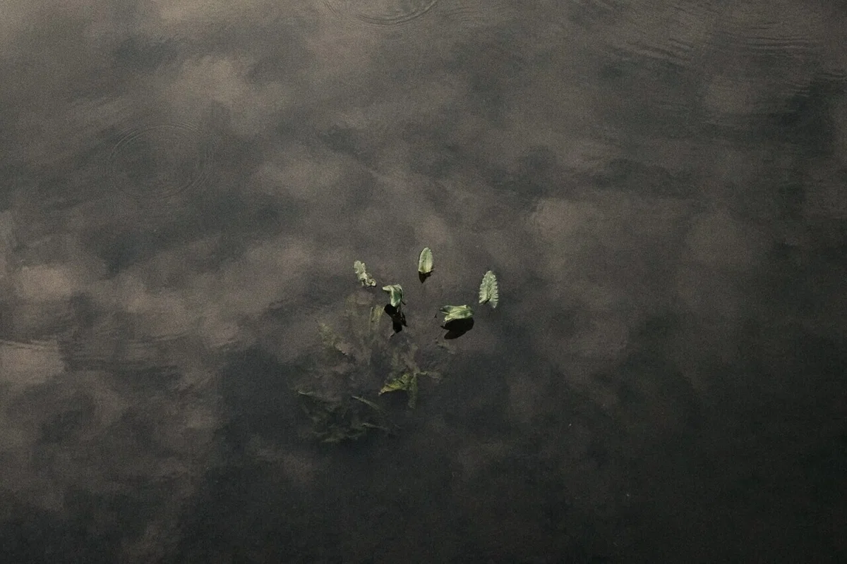 画像102