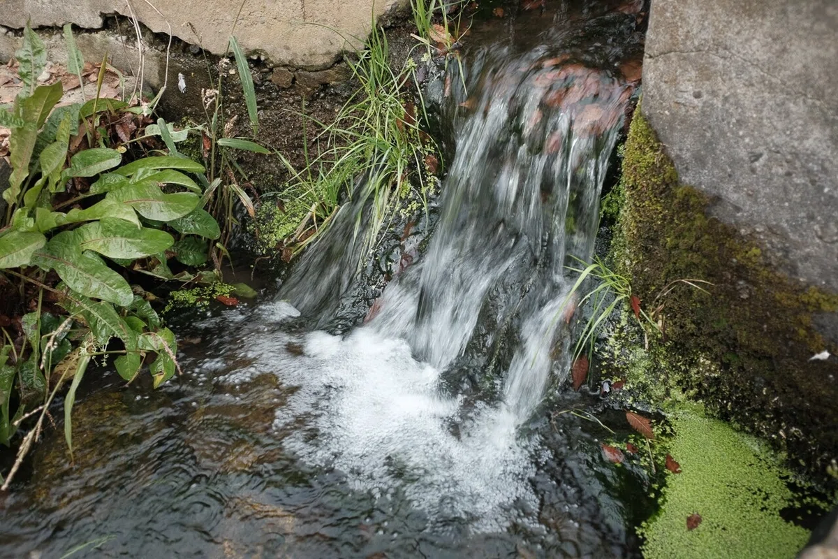 画像106