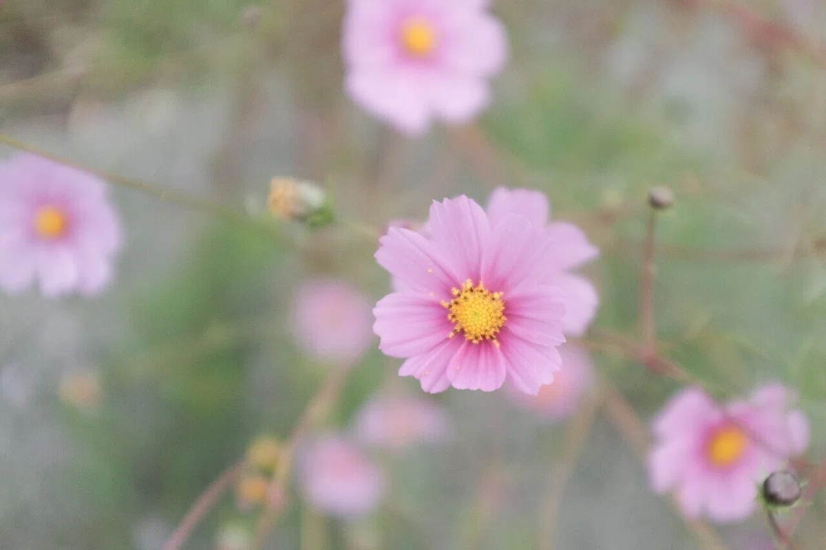 画像107