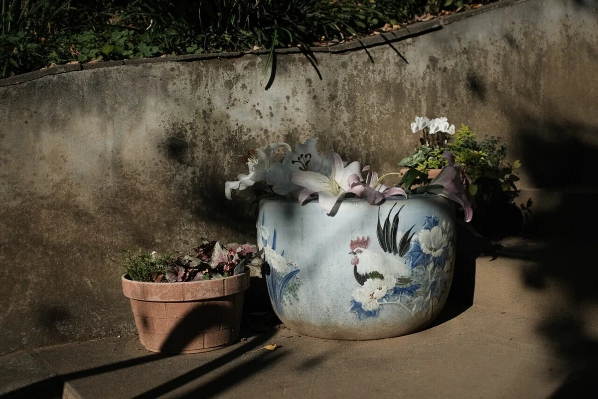 画像160
