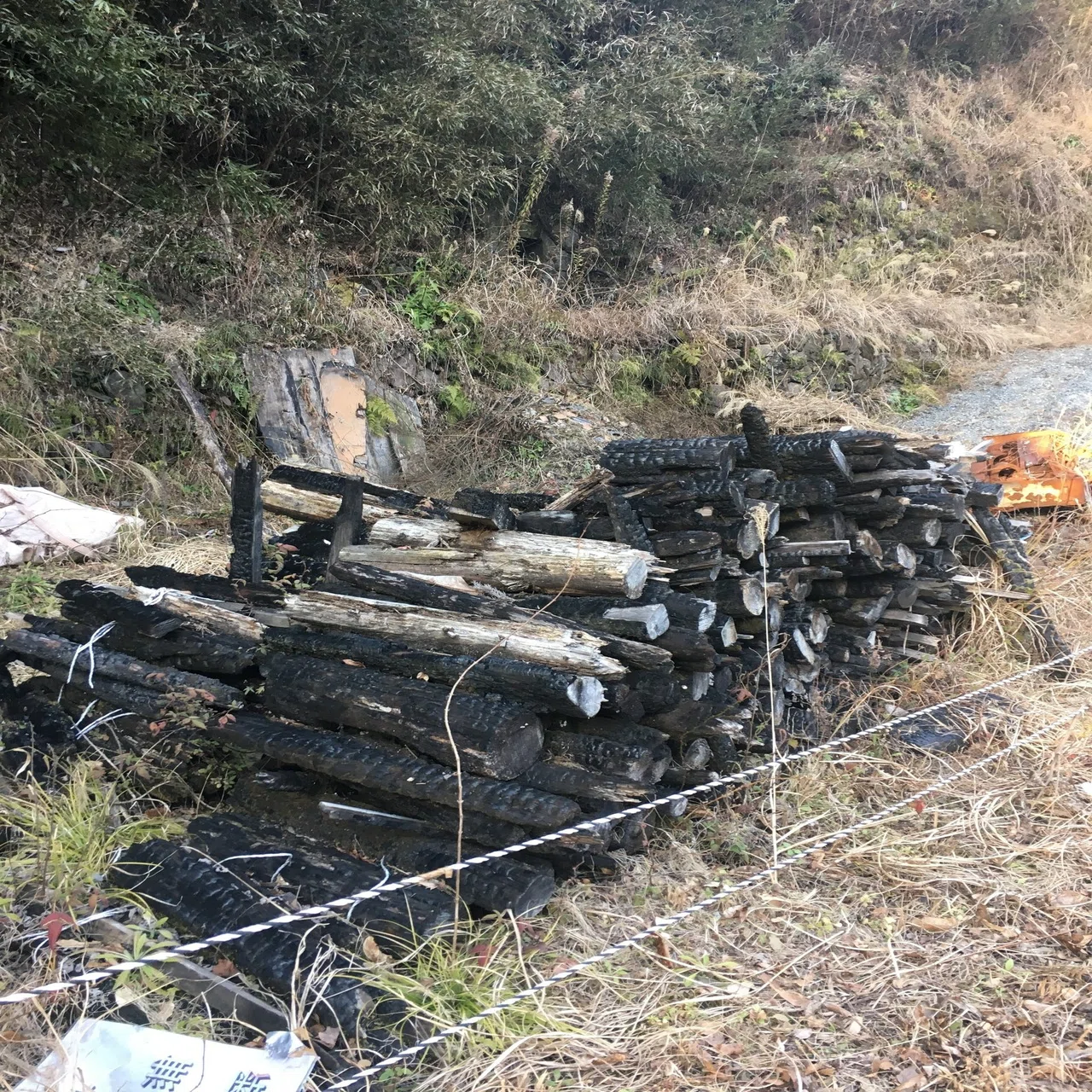 つけ び し て 煙り 喜ぶ 田舎 者 なん j
