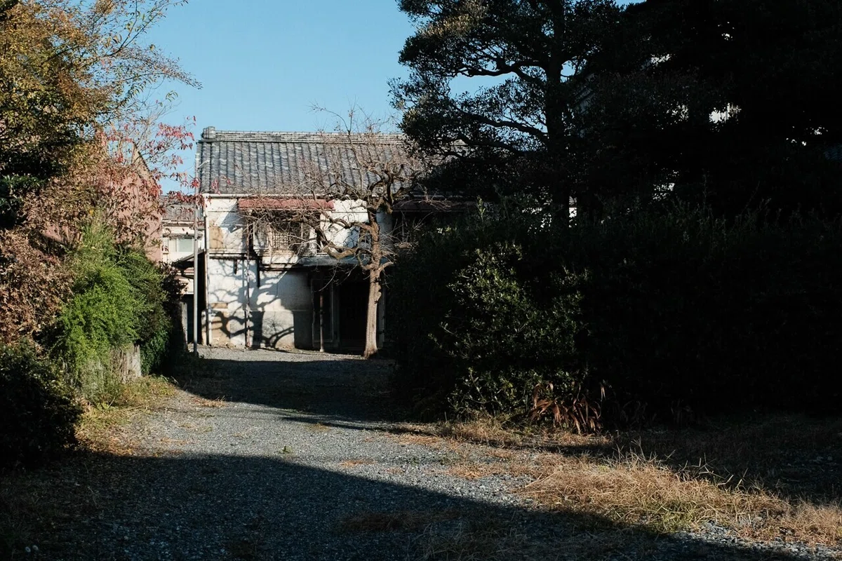 画像154