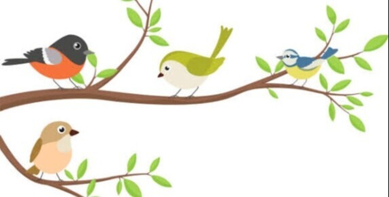 第1943回 気になる鳥 ⑴｜翆野 大地