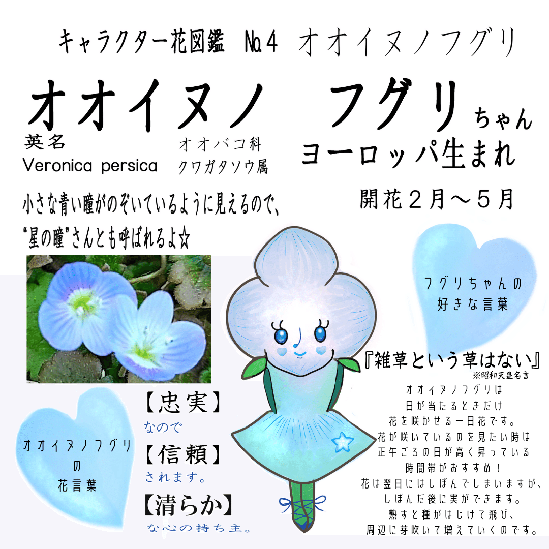 Note No 4 キャラクター図鑑 オオイヌノフグリ フグリちゃん 森田 はぐみ 花漫画家 Illustrator Note