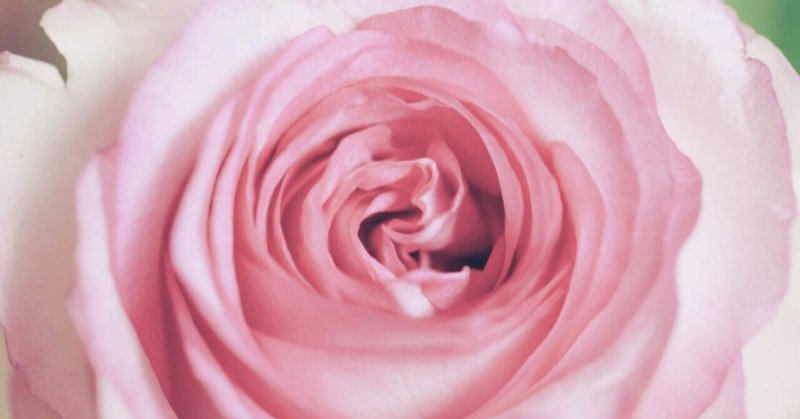 マリーローランサン の新着タグ記事一覧 Note つくる つながる とどける