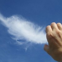 ブックレビュー 漫画家 パーキンソン病になる 大場美津子 おーば Note