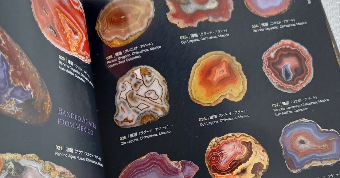 美品 希少本 観石堂 藏 桂林奇石 石 図鑑 研究 中国 美品 希少本 観石堂 藏 桂林奇石 石 図鑑 研究 中国