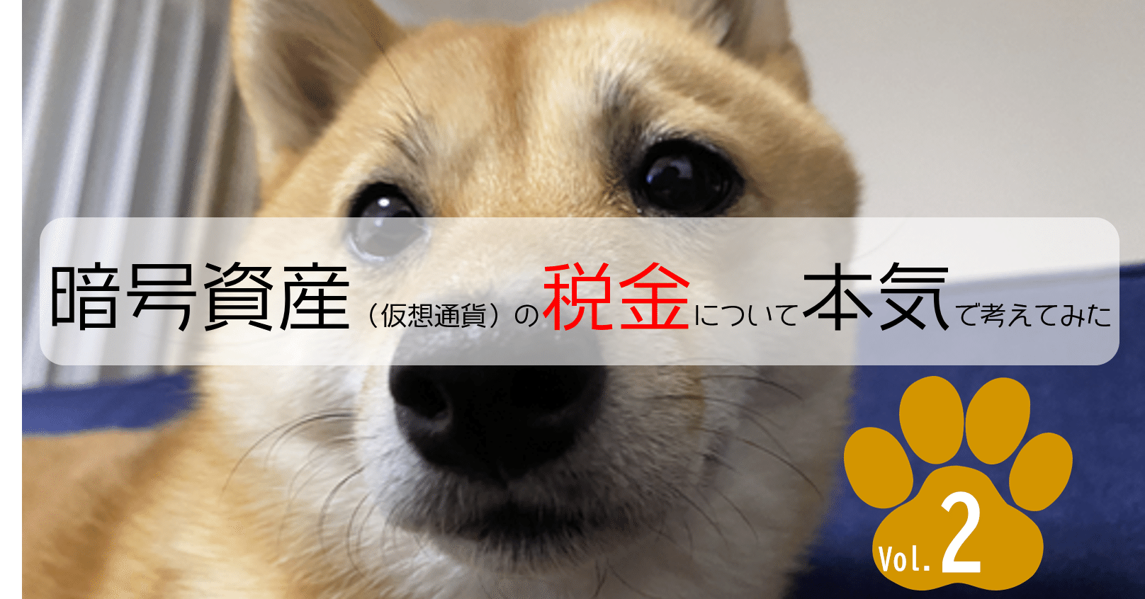 Vol.2： 暗号資産の譲渡益を、税金の安い「譲渡所得」で申告したらどうなる？節税になる？（中編）｜泉絢也・藤本剛平
