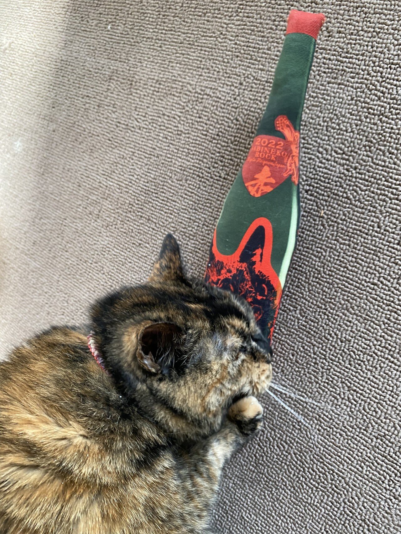 2022】サビ猫ロック PHASE1 発売のご案内【新商品もあるよ！】｜猪又