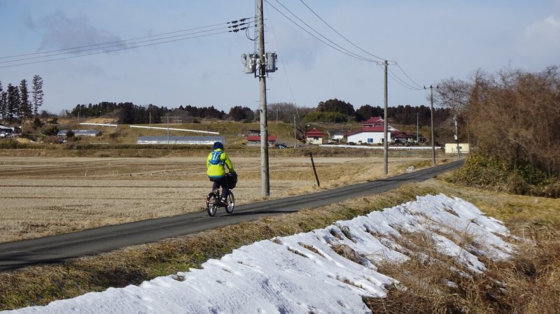 20220206_日曜日のゴミ拾い CLEAN WETLANDS Project (73)