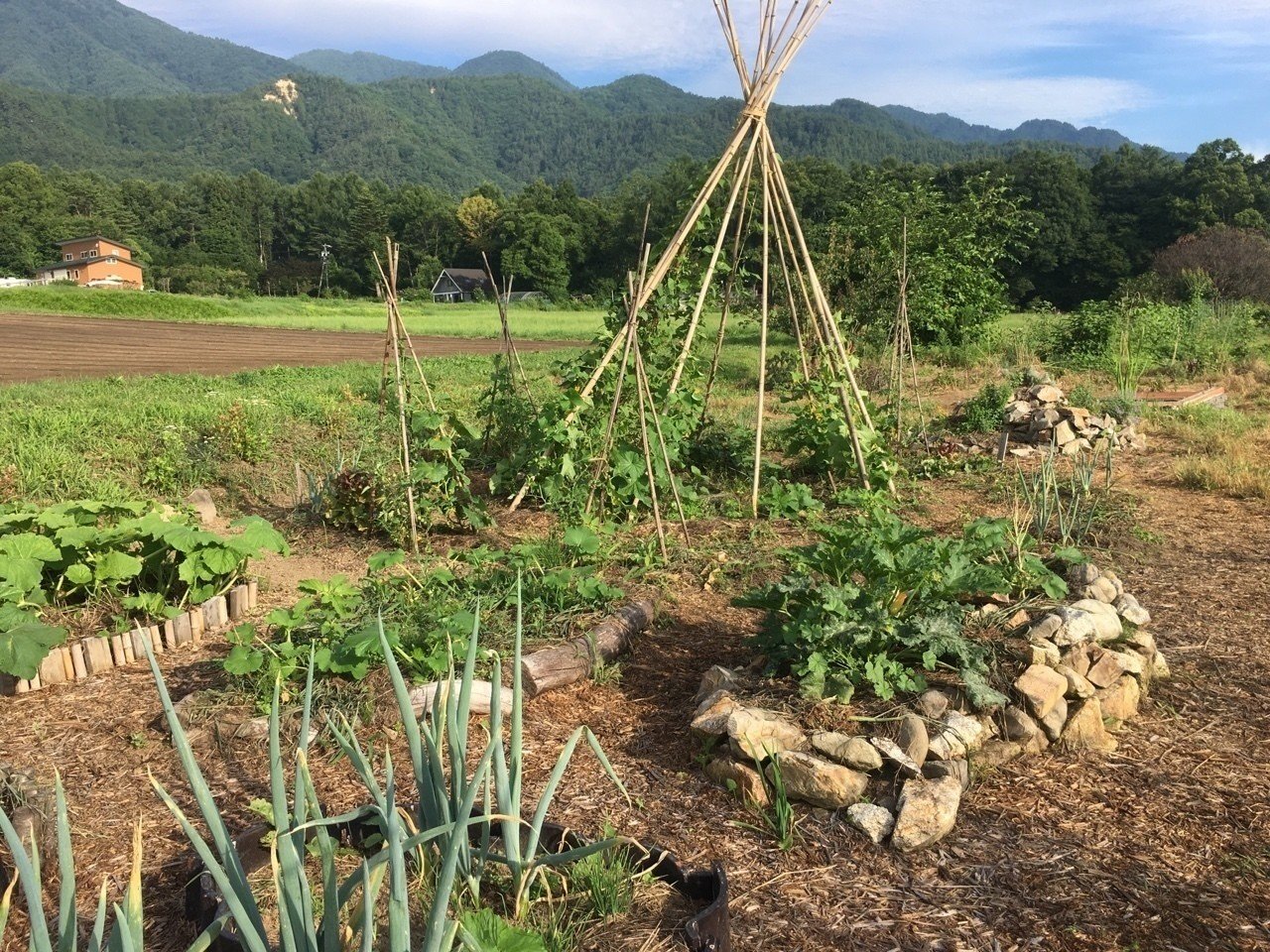 パーマカルチャー ガーデン