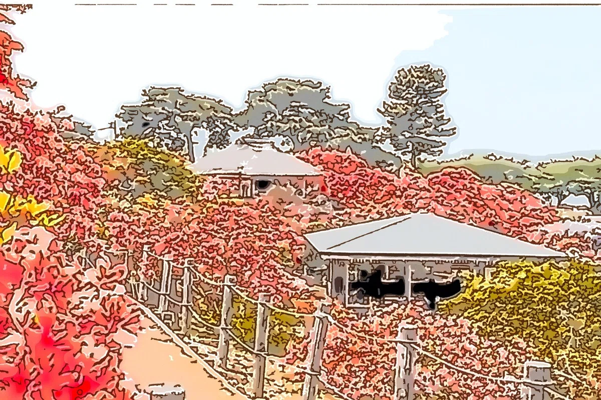 画像3