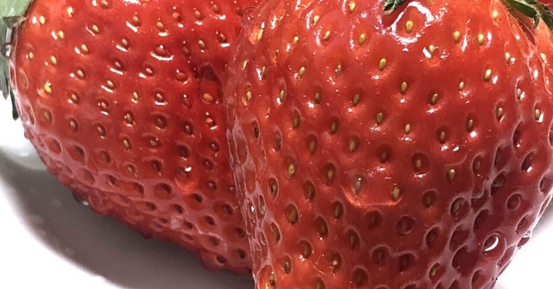 好きないちご🍓の種類は